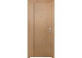 Θωρακισμένη Πόρτα DS-101